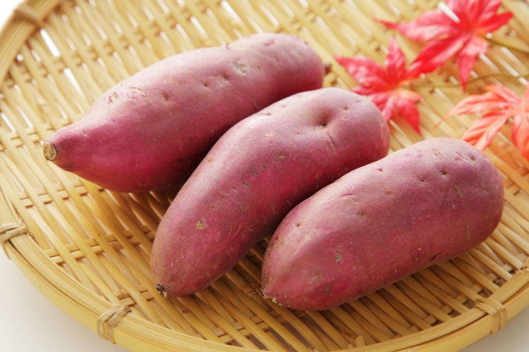芋焼酎が鹿児島に多いのはなぜ? 鹿児島の芋焼酎の魅力を徹底分析