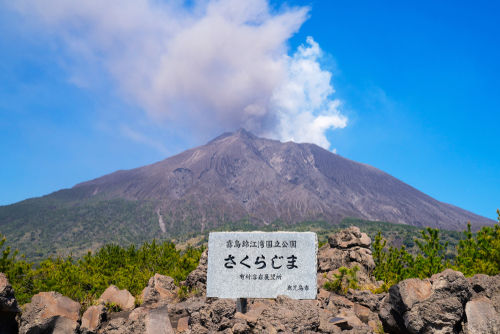 芋焼酎が鹿児島に多い理由