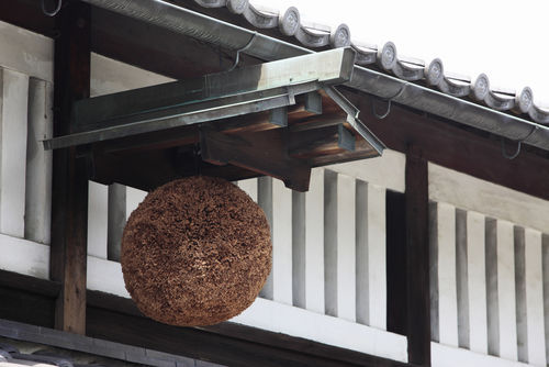 「風の森」の造り手、油長酒造の300年の歴史
