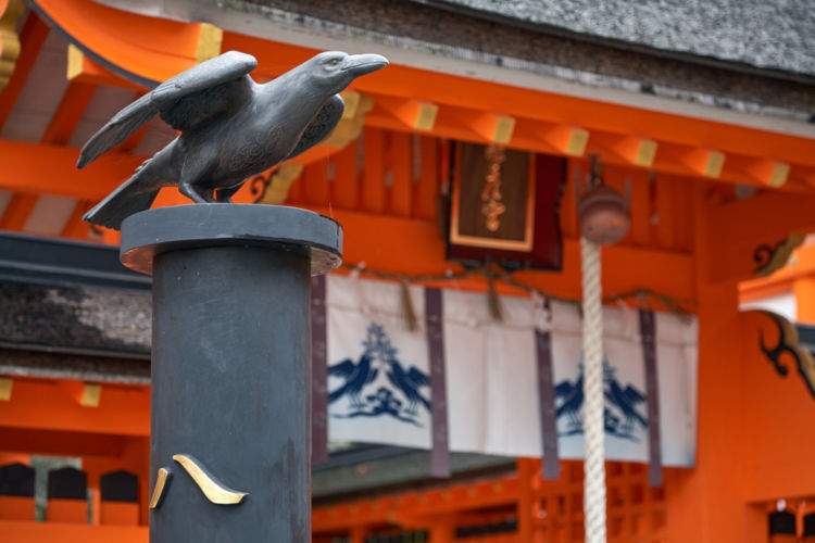 奈良の日本酒【やたがらす】神の使いを名に冠した吉野の地酒