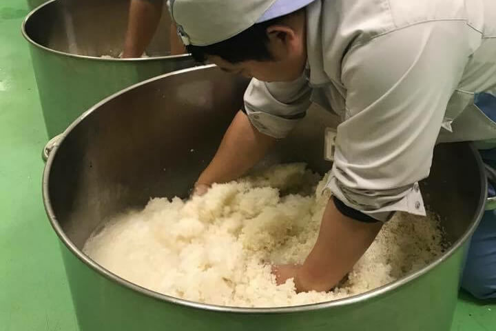 歴史ある灘の蔵元から、高品質でリーズナブルな大吟醸が限定発売