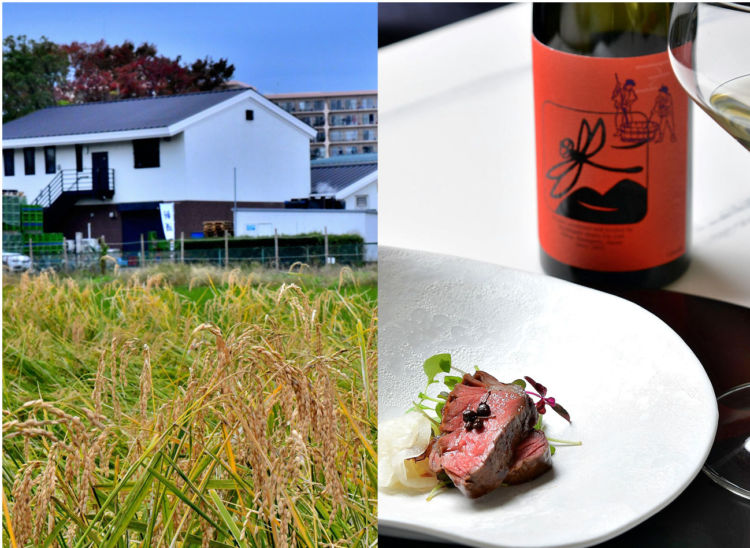 神奈川県・海老名市『泉橋酒造』訪問/都心から日帰り可能、直営レストランで日本酒ペアリングもたのしめる