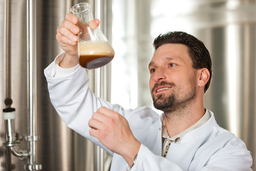 ビールを造り出す微生物「酵母」の歴史