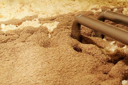 ビールを造り出す微生物「酵母」のさまざまな種類