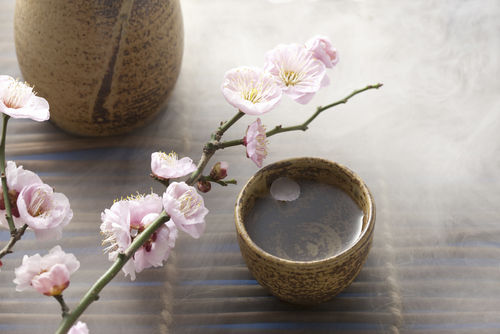 「南方」は酒好きだった熊楠も喜ぶ酒