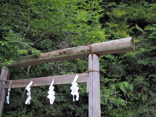 「稲田姫」の酒名は出雲神話に由来