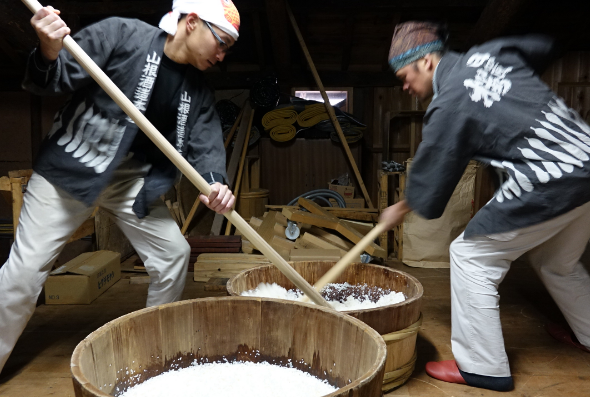 「日置桜」の蔵元の酒造り