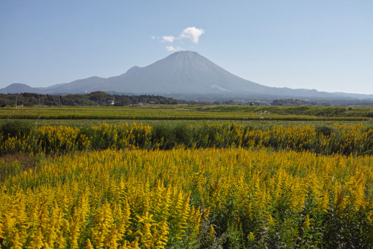 鳥取の日本酒【八郷(やごう)】大山の豊かな自然に抱かれた地元密着の酒