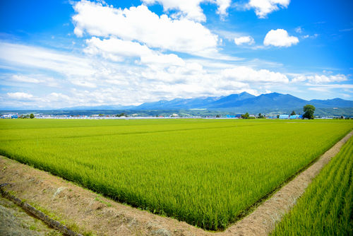 「八郷」は山陰屈指の米処の地名に由来
