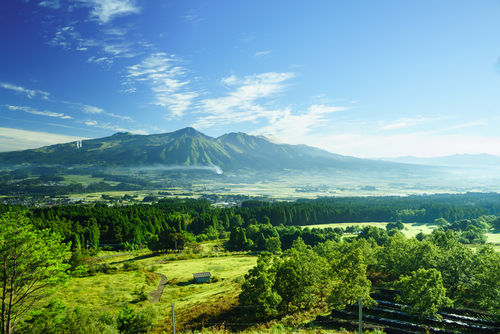 「白岳」はWTOが認めた「球磨(くま)焼酎」の代表銘柄