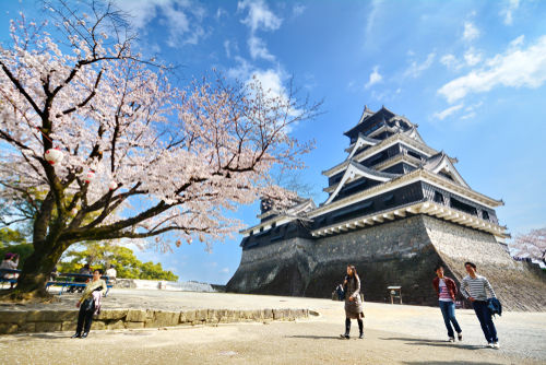 「白岳」に込められた、郷土・熊本復興への願い
