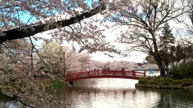 自然豊かな須坂市で始まる、全国のブランド酒米を使った新しい酒造り