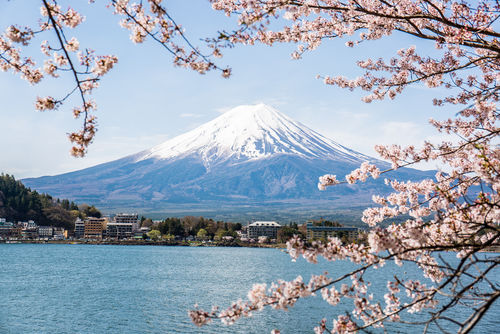 「出雲富士」という銘柄名に創業者が込めた想い