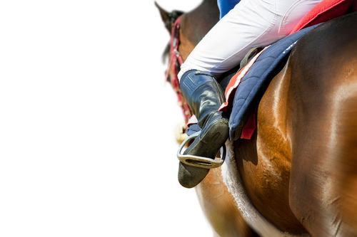 「七冠馬」は20世紀最強の名馬「シンボリルドルフ号」にちなんだ酒