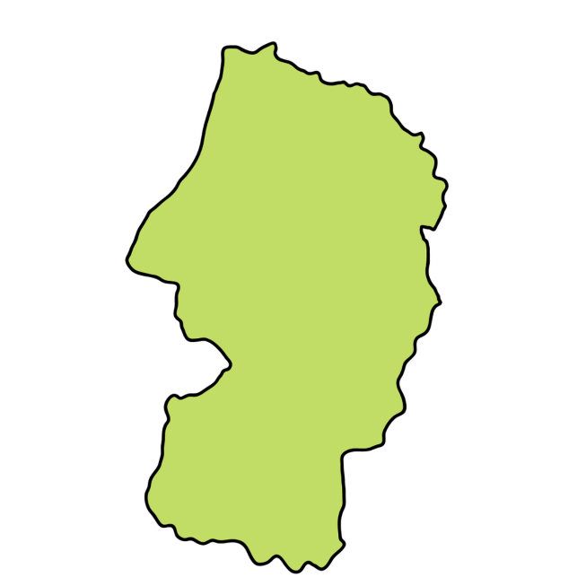 山形県のワインの特長