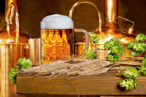ビールの苦味を左右するさまざまな要素