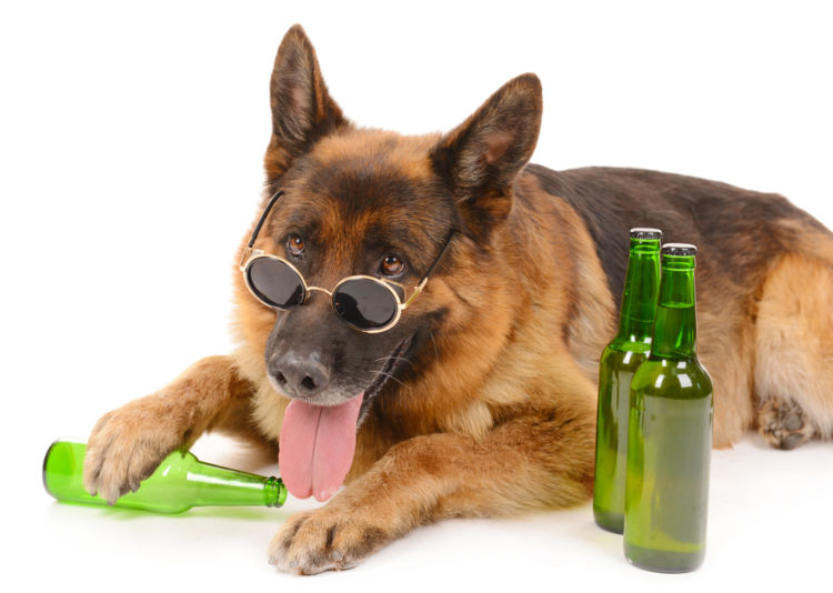 動物モチーフのビールをまとめて紹介