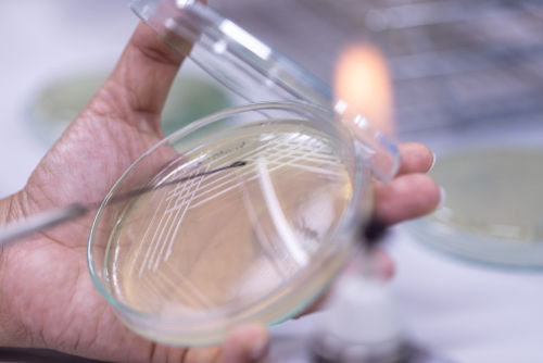 「酒類総合研究所」は日本で唯一、酒に関する国の研究機関