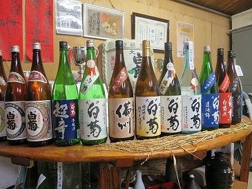 「大典白菊」のラインナップを味わい尽くす