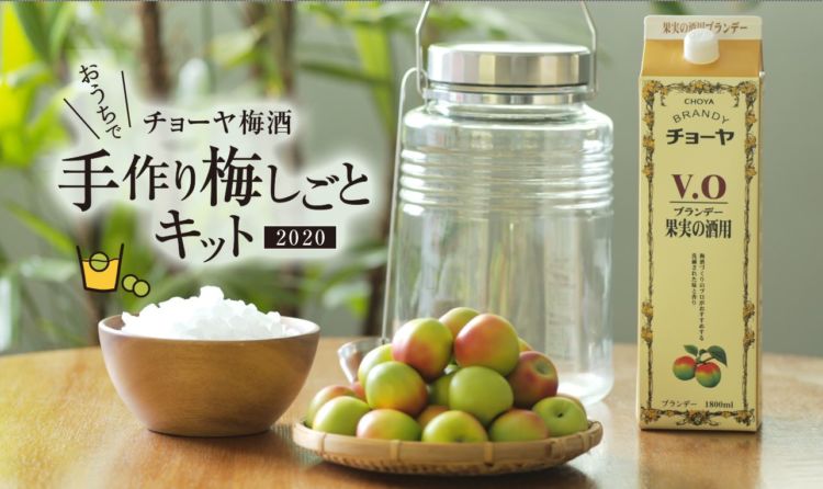 自分だけの梅酒を家でつくれる、チョーヤの「おうちで手作り梅しごとキット2020」がWeb限定発売!