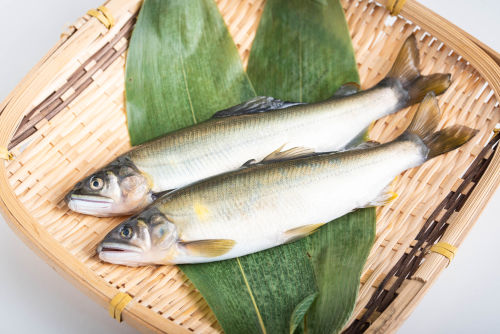 「骨酒」に向く魚は?