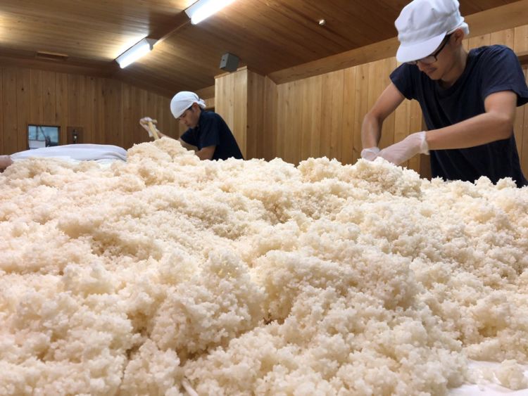 JPFと数馬酒造のコラボレーション-地域課題とSDGsへの取り組み