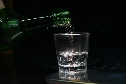 「粕取り焼酎」の人気銘柄