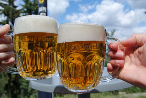 ビール王国ドイツのピルスナーと元祖ピルスナーチェコのビールを飲み比べ!