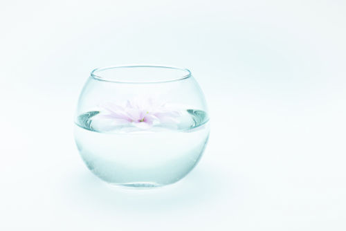 「菊酒」とは?