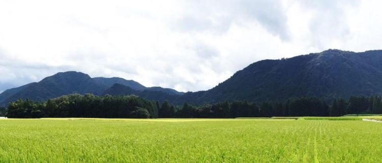 「金雀」を生み出している“錦町”とは