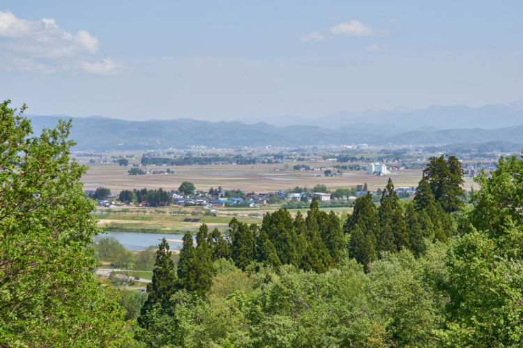 「秋田杉」をふんだんに使ったクラフトジン