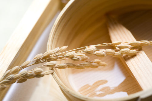 「芳水」の蔵元は“自然の味”を醸し出す