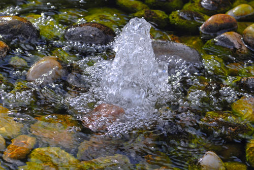 「金陵」を醸す3つの蔵では、こだわりの2名水を使用