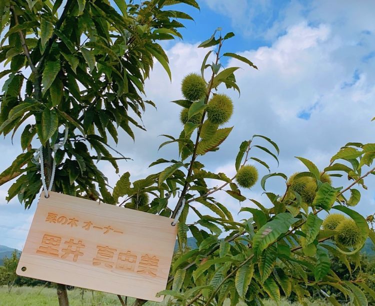結び