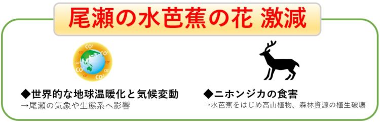 5. SDGs観点による付加価値創造