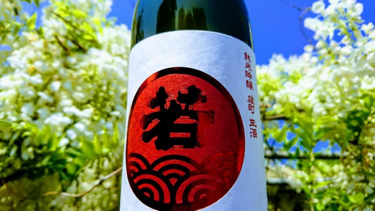 福岡の日本酒【若波(わかなみ):若波酒造】姉弟中心の5人チームで醸す旨い酒