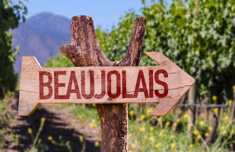 ボジョレーのブドウ畑 BEAUJOLAIS 看板