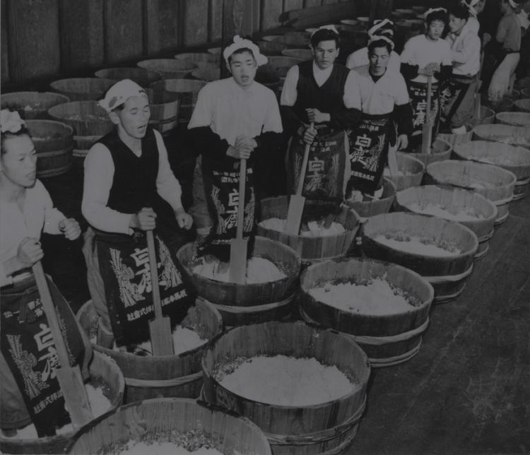 辰馬本家酒造 白鹿 昔の酒造り