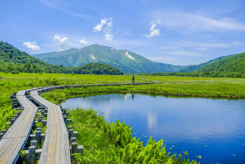 「緑川」は新潟を代表する地酒