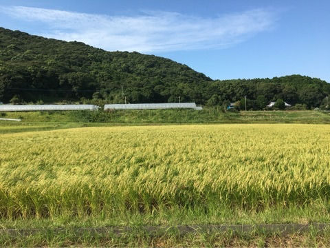 「福田」はどんな日本酒?