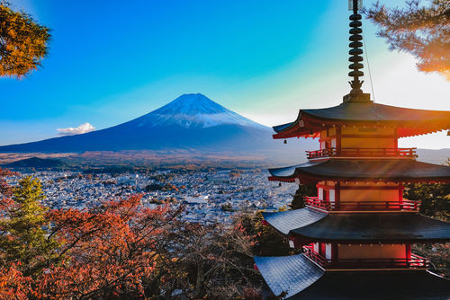 世界的にも人気! 地ウイスキーメーカーの蒸溜所を紹介