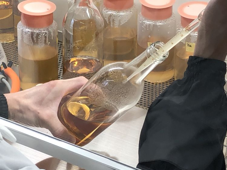 「香露」は吟醸酒のお手本となった酒