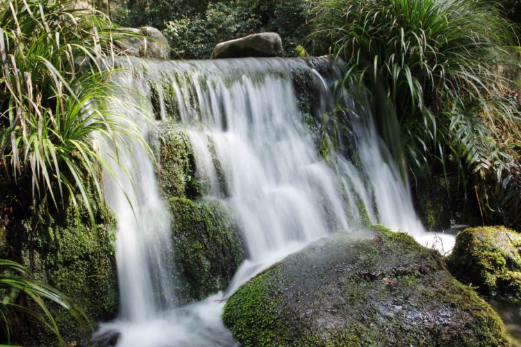 「産山村」は3つの誓いのもと、名水を使って醸される