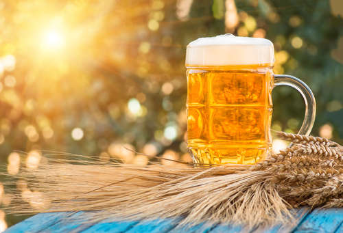 ビールの麦芽比率とおいしさの関係