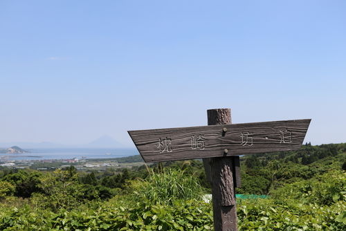 薩摩焼酎ってどんなもの?