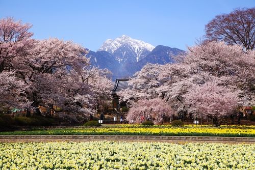 爽やかな香りの「白州」