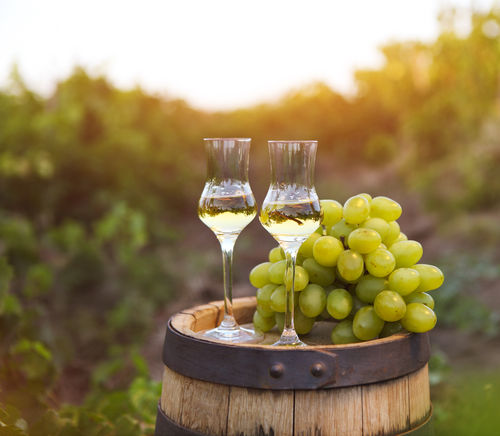 ワインと蒸留酒?ワインのぶどうの搾りかすで作る魅惑の蒸留酒「グラッパ」