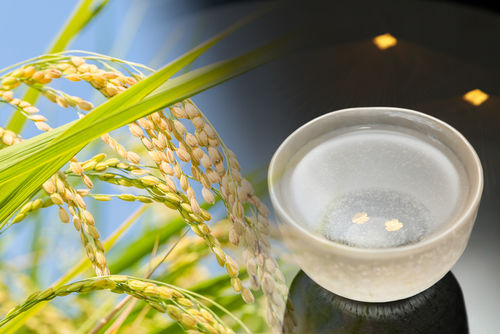 日本酒も北国ならではの味を守る青森の銘柄を知る