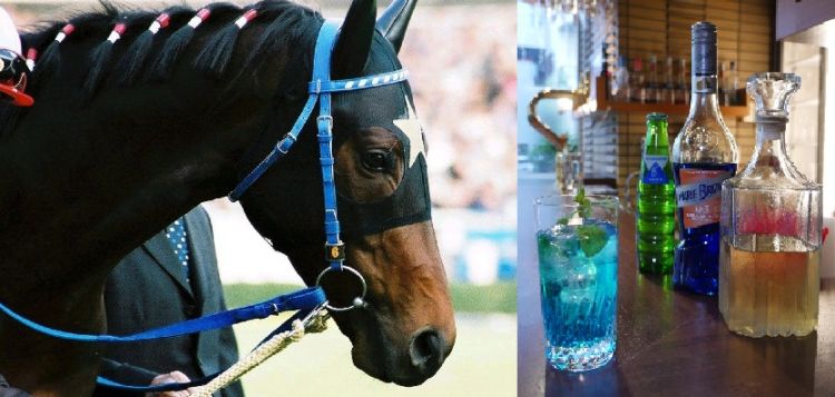 色とりどりのカクテルで名馬の雄姿に思いを馳せて