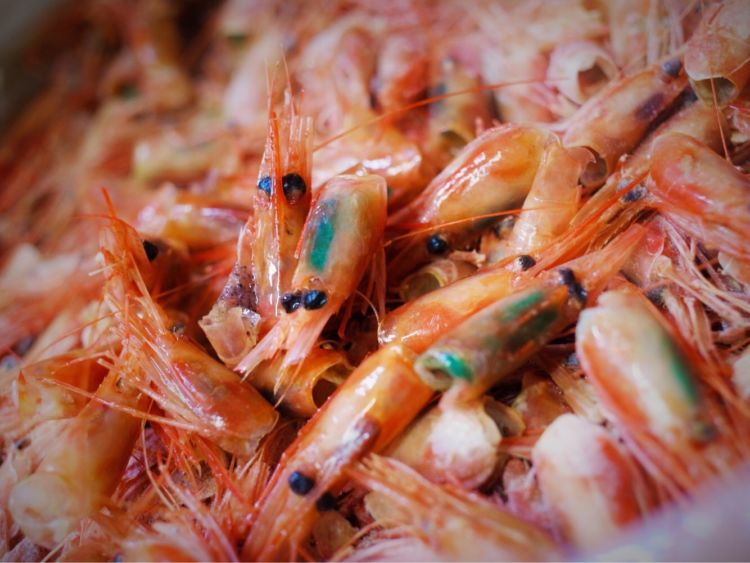 40匹の甘海老を使った極上のスープをワインと一緒に